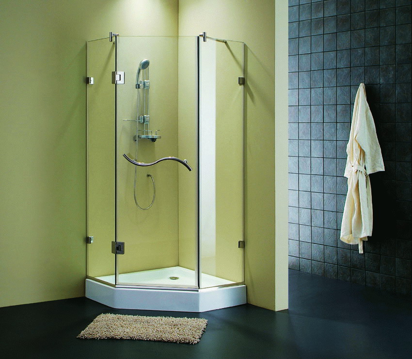 tempered glass shower door with stainless steel fitting
